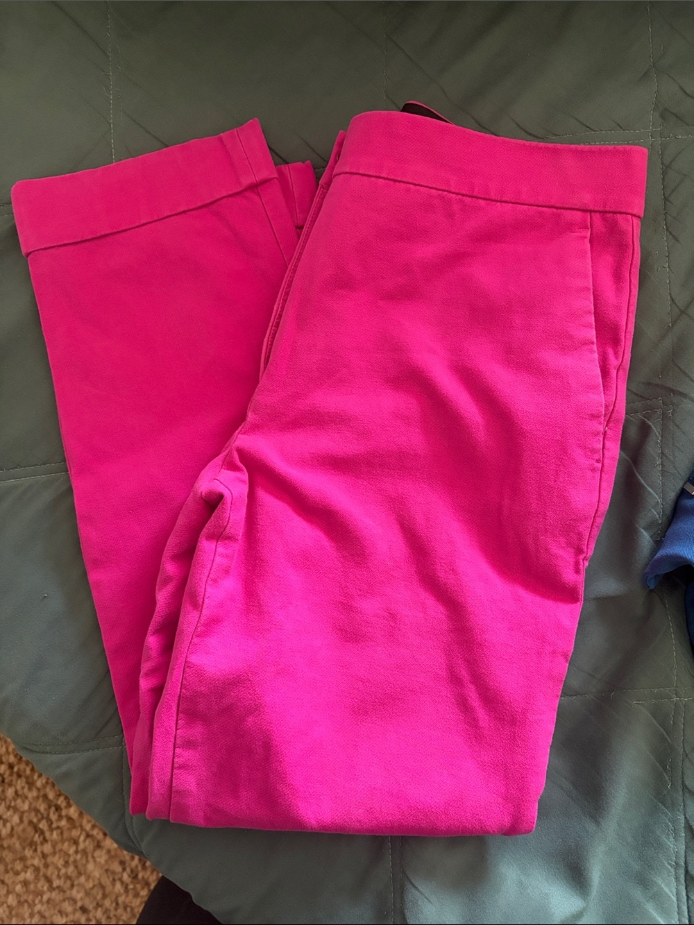Ann Taylor Fuchsia Skinny Pull-On Pants